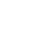 IPF (Slovenia)